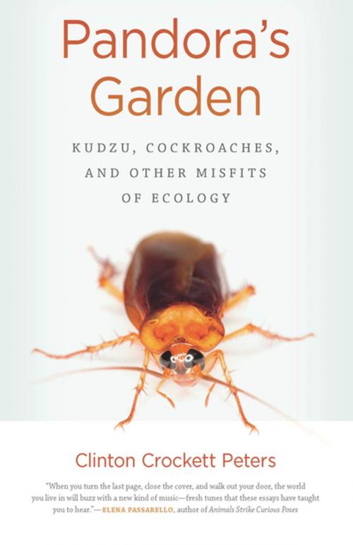 Cover of the book Pandora's Garden by Clinton Crockett Peters, John Griswold, University of Georgia Press