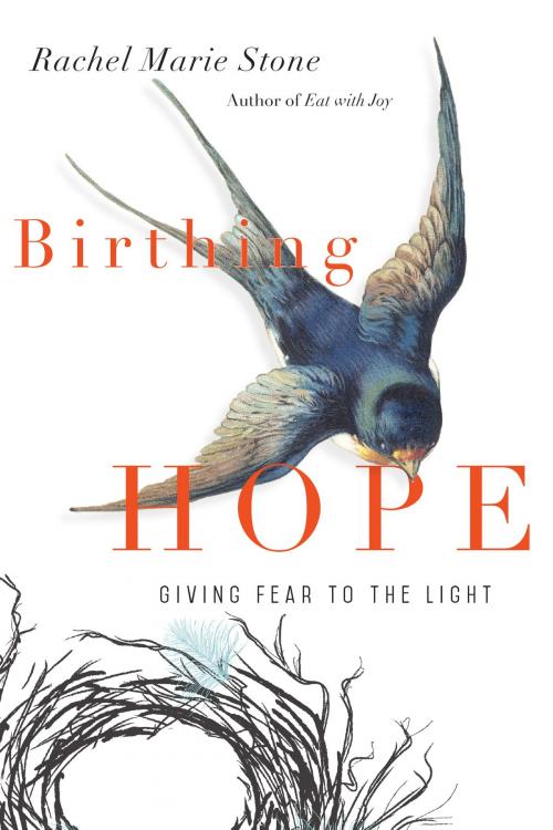 Cover of the book Birthing Hope by Rachel Marie Stone, IVP Books