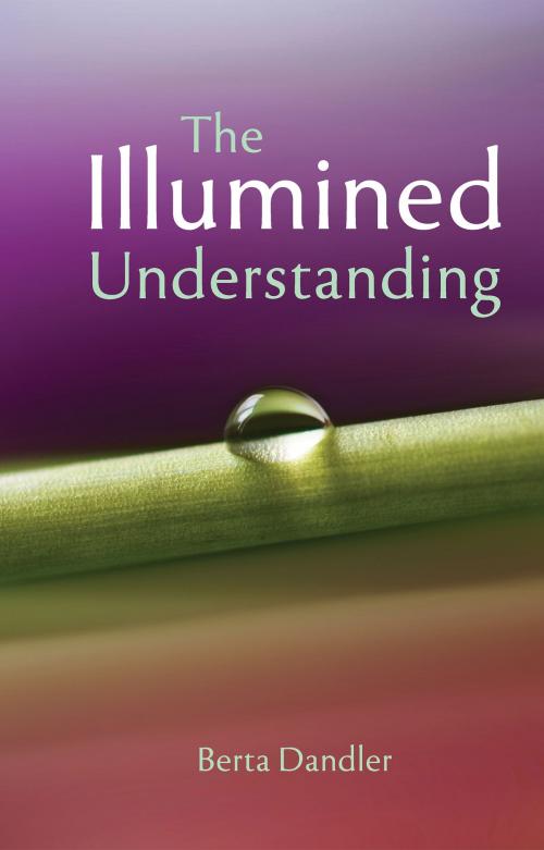 Cover of the book The Illumined Understanding by Berta Dandler, Shanti Sadan