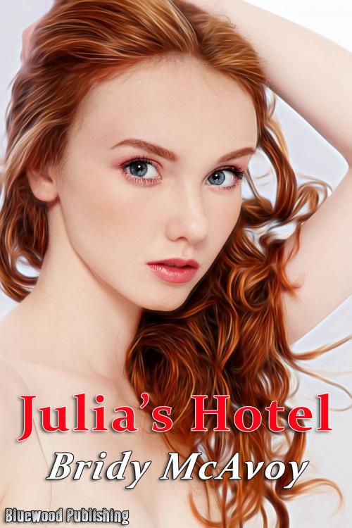 Cover of the book Julia's Hotel by Bridy McAvoy, Bluewood Publishing