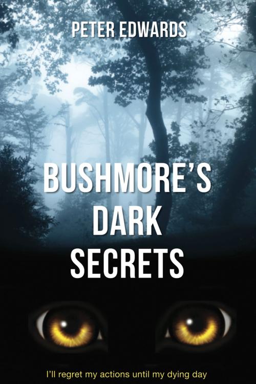 Cover of the book Bushmore's Dark Secrets by Peter Edwards, All Mine Stories