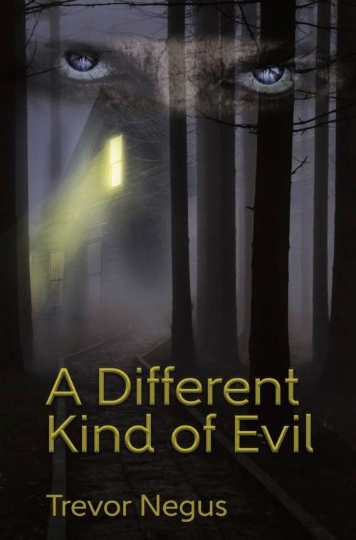Cover of the book A Different Kind of Evil by Trevor Negus, yorkpublishing