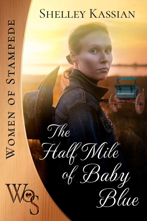 Cover of the book The Half Mile of Baby Blue by Shelley Kassian, Shelley Kassian