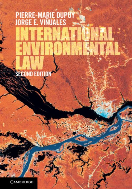 Cover of the book International Environmental Law by Pierre-Marie Dupuy, Jorge E. Viñuales, Cambridge University Press