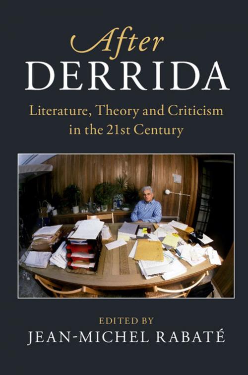Cover of the book After Derrida by , Cambridge University Press