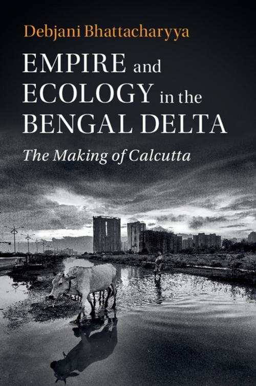 Cover of the book Empire and Ecology in the Bengal Delta by Debjani Bhattacharyya, Cambridge University Press