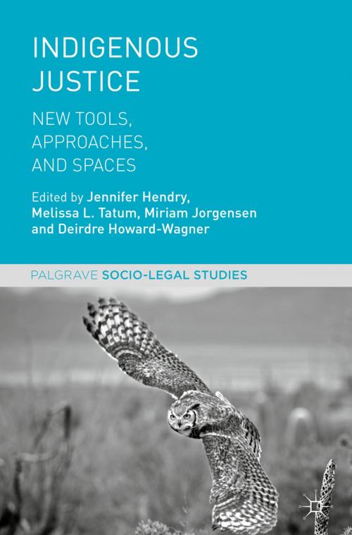 Cover of the book Indigenous Justice by , Palgrave Macmillan UK