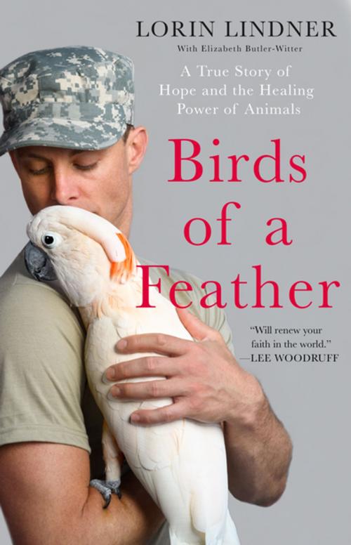 Cover of the book Birds of a Feather by Lorin Lindner, St. Martin's Press
