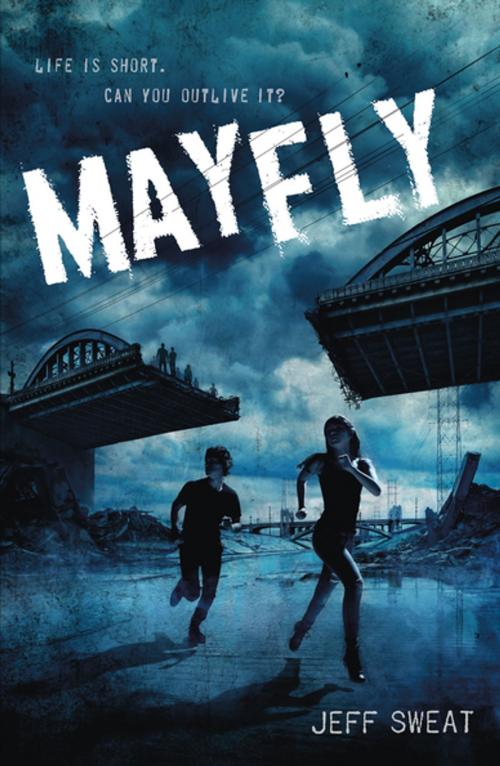 Cover of the book Mayfly by Jeff Sweat, Feiwel & Friends