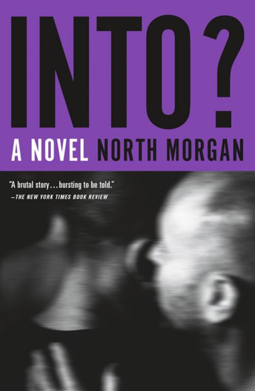 Cover of the book Into? by North Morgan, Flatiron Books
