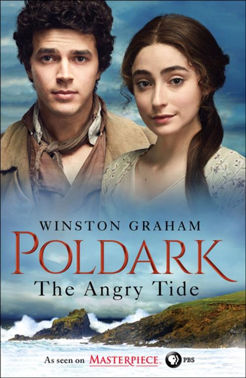 Cover of the book The Angry Tide by Winston Graham, St. Martin's Publishing Group