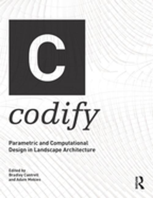 Cover of the book Codify by , Taylor and Francis