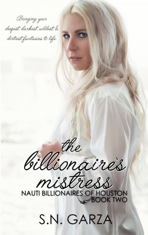 Cover of the book The Billionaire’s Mistress by S. N. Garza, S. N. Garza