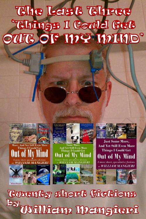 Cover of the book The Last Three 'Things I Could Get Out of My Mind' by William Mangieri, William Mangieri