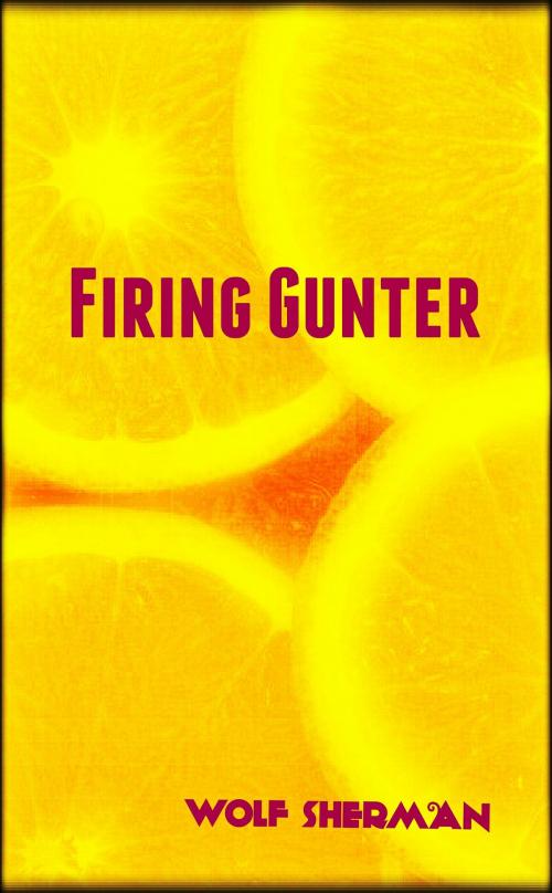 Cover of the book Firing Gunter by Wolf Sherman, Wolf Sherman