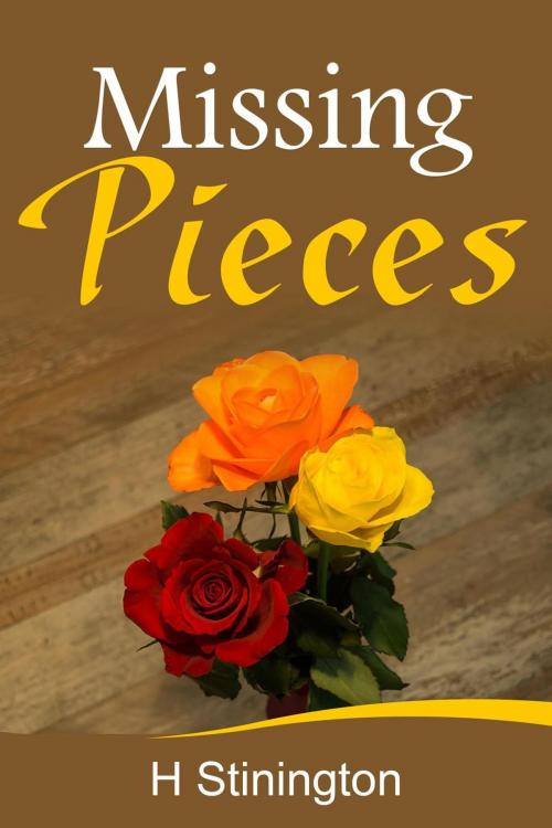 Cover of the book Missing Pieces by H Stinington, H Stinington