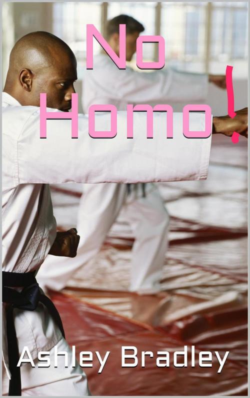 Cover of the book No Homo! by Ashley Bradley, Ashley Bradley
