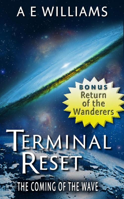 Cover of the book Terminal Reset by A.E. Williams, A.E. Williams