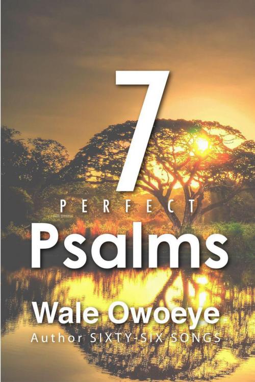 Cover of the book Seven Perfect Psalms by Wale Owoeye, Pipit Inc.