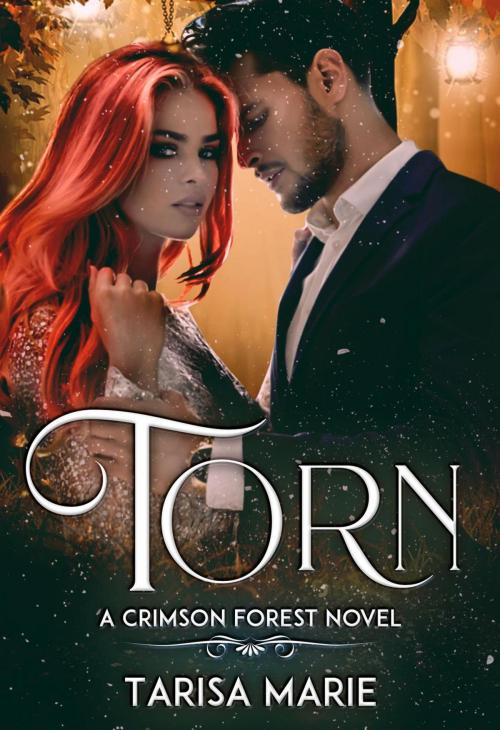 Cover of the book Torn by Tarisa Marie, Tarisa Marie