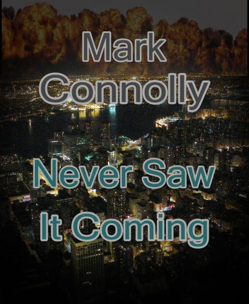 Cover of the book Never Saw It Coming by Mark Connolly, Mark Connolly