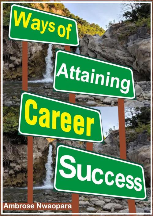 Cover of the book Ways of Attaining Career Success by Ambrose Nwaopara, Ambrose Nwaopara