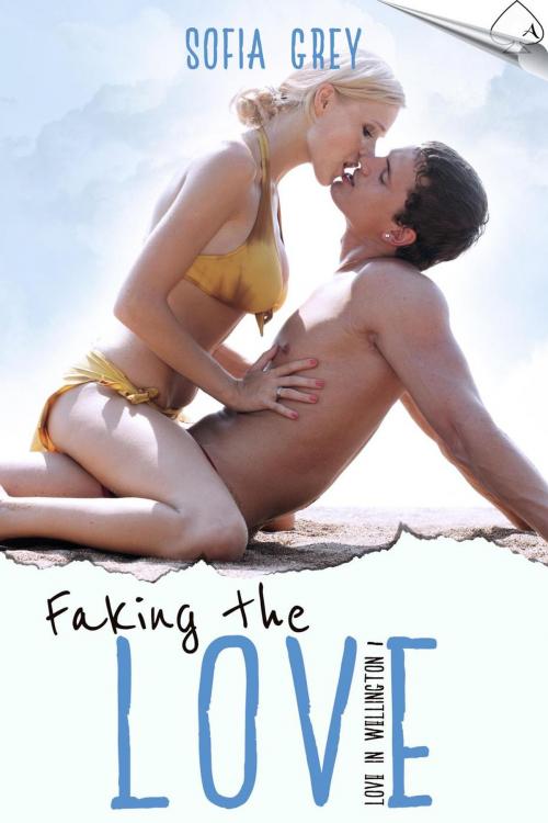 Cover of the book Faking the Love by Sofia Grey, Acelette Press