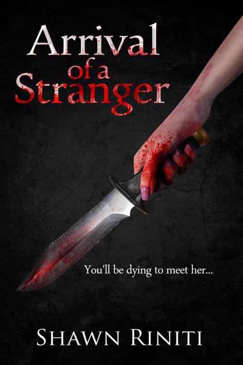 Cover of the book Arrival of a Stranger by Shawn Riniti, Shawn Riniti