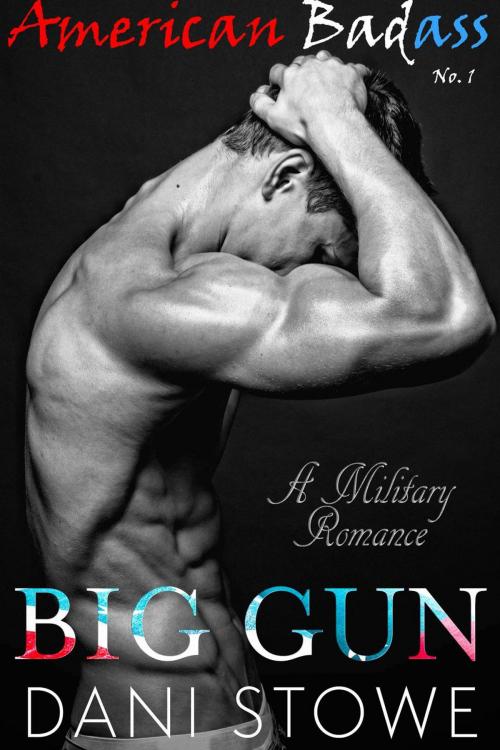 Cover of the book Big Gun by Dani Stowe, Dani Stowe