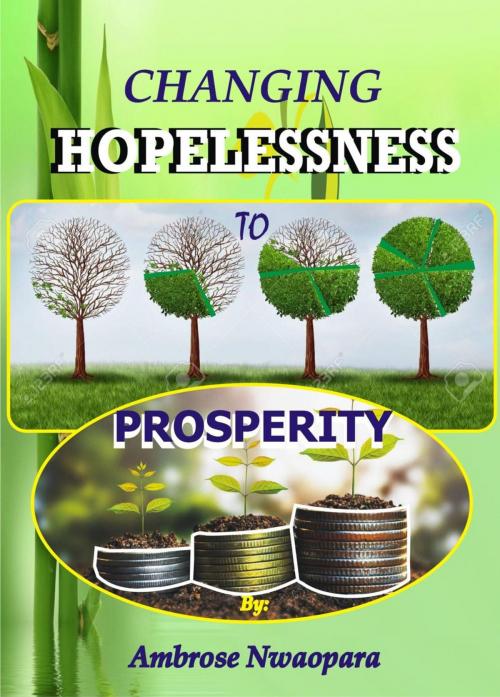Cover of the book Changing Hopelessness to Prosperity by Ambrose Nwaopara, Ambrose Nwaopara