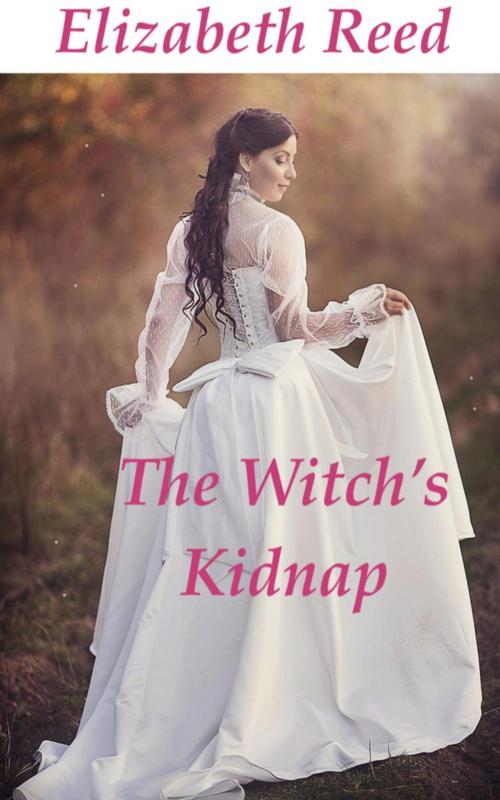 Cover of the book The Witch’s Kidnap by Elizabeth Reed, LB Books