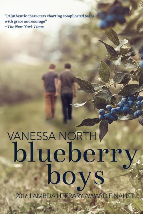 Cover of the book Blueberry Boys by Vanessa North, Vanessa North