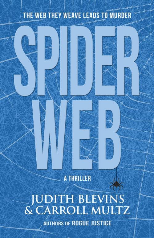 Cover of the book Spiderweb by Judy Blevins, Carroll Multz, BHC Press/Open Window