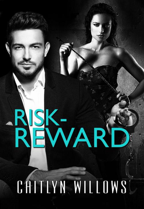 Cover of the book Risk-Reward by Caitlyn Willows, Caitlyn Willows