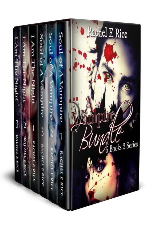 Cover of the book A Vampire Bundle by Rachel E Rice, Rachel E Rice
