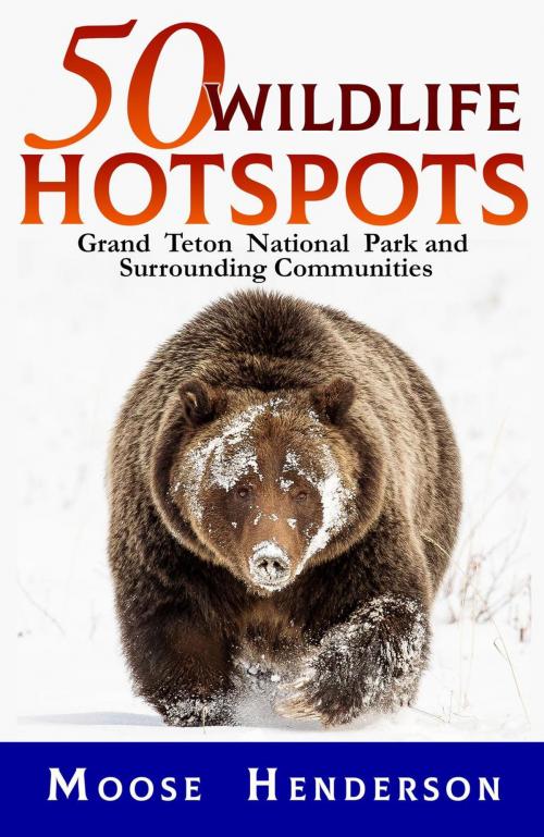 Cover of the book 50 Wildlife Hotspots by Moose Henderson, Sastrugi Press