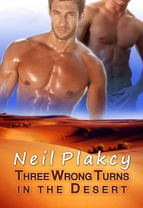 Cover of the book Three Wrong Turns in the Desert by Neil S. Plakcy, Samwise Books