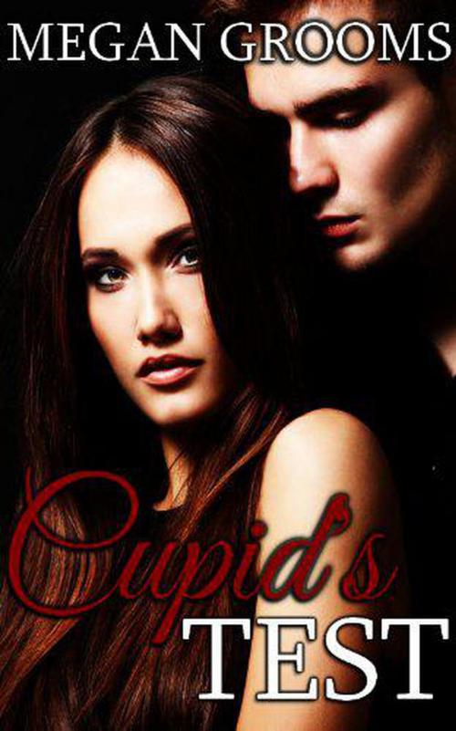 Cover of the book Cupid's Test by Megan Grooms, Megan Grooms