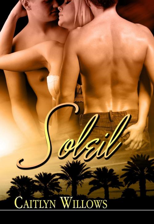 Cover of the book Soleil by Caitlyn Willows, Caitlyn Willows