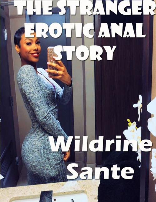 Cover of the book The Stranger Erotic Anal Story by Wildrine Sante, Lulu.com