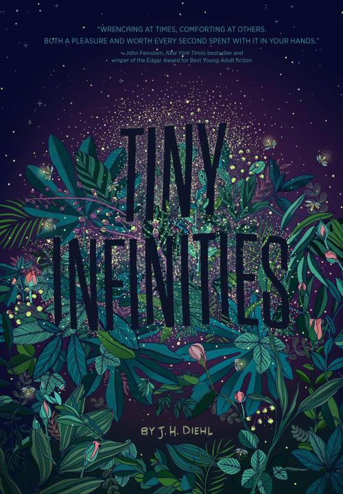 Cover of the book Tiny Infinities by J.H. Diehl, Chronicle Books LLC