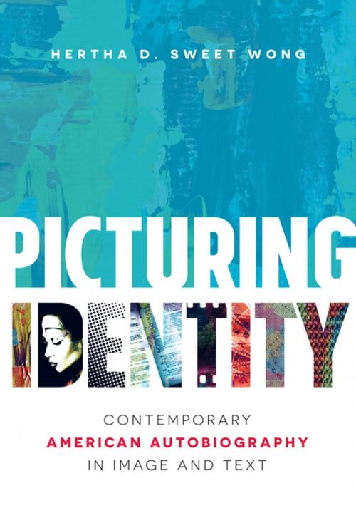 Cover of the book Picturing Identity by Hertha D. Sweet Wong, The University of North Carolina Press