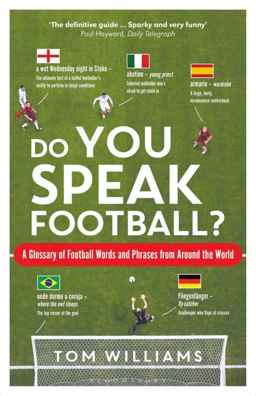 Cover of the book Do You Speak Football? by Tom Williams, Bloomsbury Publishing