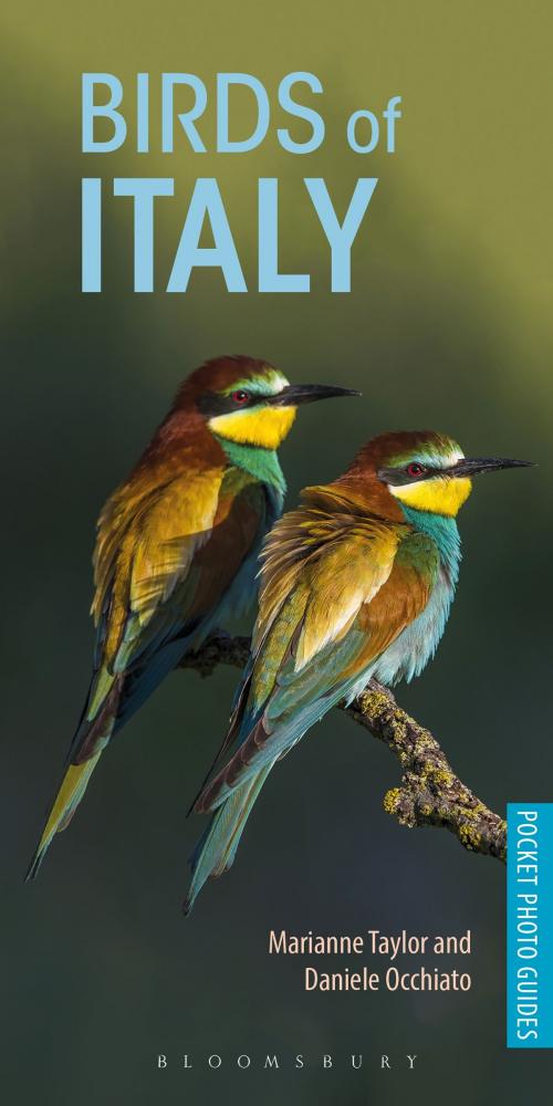 Cover of the book Birds of Italy by Daniele Occhiato, Ms Marianne Taylor, Bloomsbury Publishing