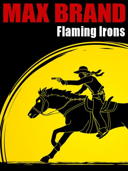 Cover of the book Flaming Irons by Max Brand, Frederick Faust, Wildside Press LLC