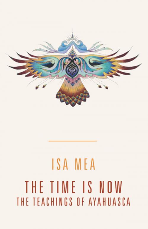 Cover of the book The Time Is Now by Isa Mea, Archway Publishing