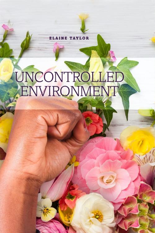 Cover of the book Uncontrolled Environment by Elaine Taylor, Dorrance Publishing