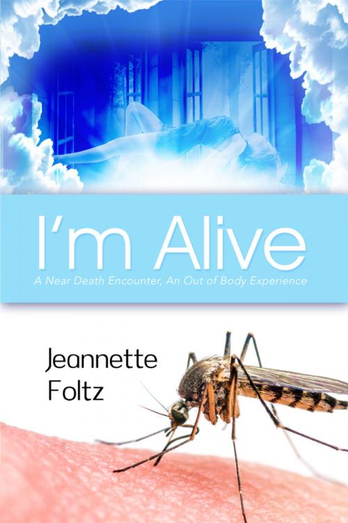 Cover of the book I'm Alive by Jeannette Foltz, Dorrance Publishing