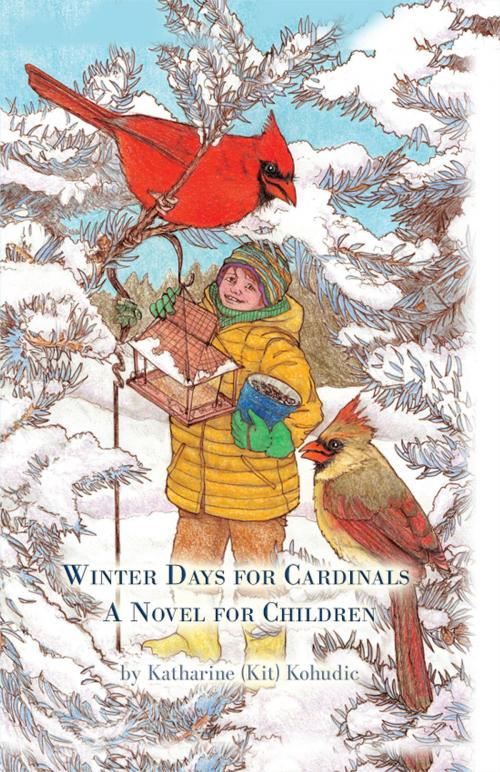 Cover of the book Winter Days for Cardinals by Katharine (Kit) Kohudic, Dorrance Publishing