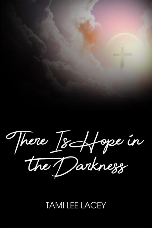 Cover of the book There Is Hope in the Darkness by Tami Lee Lacey, Dorrance Publishing